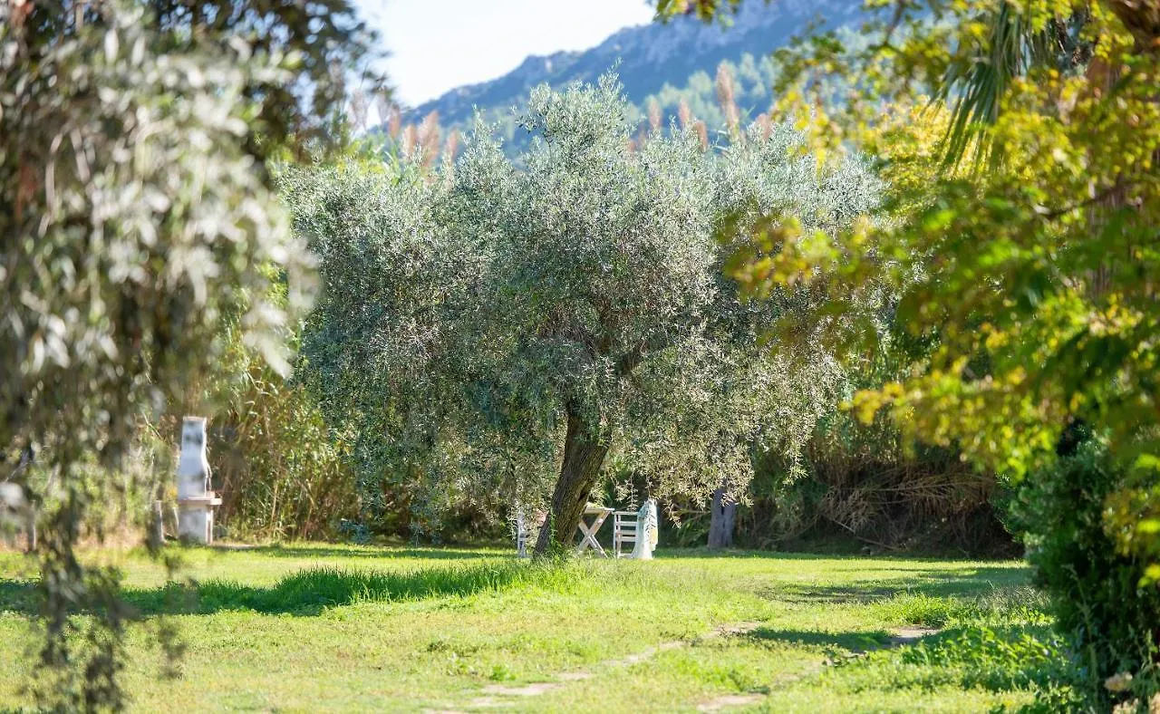 Villa Maria Toroni